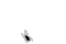 Benutzerbild von era