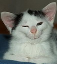 Benutzerbild von Groschi