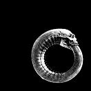 Benutzerbild von denjudge